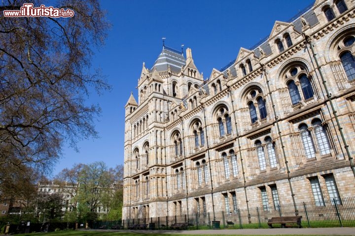 Immagine Fiancata del Museo di Storia Naturale: l'edificio si trova a Kensington, in centro a Londra - © rui vale sousa / Shutterstock.com