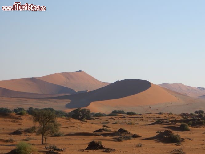 Immagine Il deserto della Namibia è famoso per le sue dune, specialmente nella zona di Sossusvlei dove oltre le calssiche dune a barcane si possno ammirare delle enormi dune a stellam, alte più di 200 metri