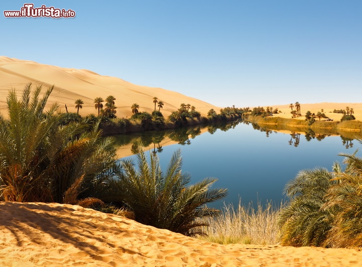 Lago di Umm al-Ma deserto Ubari (Awbari), Libia - Nel cuore del Sahara, laggiù dove non piove mai, è possibile scoprire dei laghi incredibili, che si aprono improvvisamente tra  i campi di dune dell'Erg di Ubari. Questi laghi hanno una origine ancora non completamente spiegata, e tra questi quello di Umm al-ma è sicuramente uno dei più spettacolari, una vera oasi inaspettate nel  deserto più estremo.

Purtroppo i tour nel deserto libico, molto sicuri fino al 2011, sono oggi divenuti molto pericolosi, dopo la primavera Araba e la destituzione ed uccisone del Comandante Gheddafi, che ha lasciato la Libia nel caos.

Per essere aggiornati sull situazione in Libia : Viaggiare Sicuri in Libia
© Patrick Poendl / Shutterstock.com