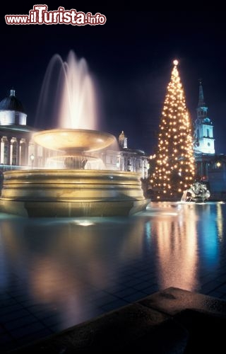Immagine Albero di Natale e fontana in visione notturna a Trafalgar Square, la centralissima piazza di Londra - © www.visitlondon.com/it