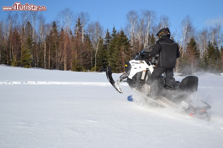 Immagine Ski-doo, Charlevoix: le motoslitte canadesi sono comunemente conosciuti come Ski-doo, nome del principale produttore nazionale. In Québec, come altrove, è possibile affittare le motoslitte per alcune ore e percorrere i sentieri che si snodano lungo i boschi e le vallate.