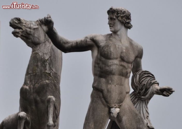 Immagine Dioscuro e Cavallo in piazza - Un dettaglio della Fontana dei Dioscuri (Castore e Polluce) probabilmente opere romane ispirate da alcune sculture ellenistiche