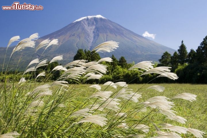 Sapevate che il Monte Fuji fino al 1872 era proibito alle donne? - Un proverbio giapponese recita: "Colui che sale sul Monte Fuji una volta, è un uomo saggio, colui che prova ad arrampicarsi due volte, è un pazzo". Montagna magnifica, considerata sacra fin dall'antichità, il Fuji-San è un grande stratovulcano, alto 3.776 metri, che ha eruttato l'ultima volta nel 1708. Per motivi religiosi la sua scalata, impegnativa ma non impossibile, effettuata la prima volta nel 663 da un monaco, era rimasta per secoli proibita alle donne. Con l'Imperatore Mutsuhito, nel 1868, il Giappone iniziò ad uscire dal feudalesimo, l'inizio del Perido Meiji, il cosiddetto regno illuminato. E dato che l'anno prima una donna, Lady Fanny Parkes, moglie dell'ambasciatore britannico in Giappone, aveva già scalato la montagna, e senza scatenare le ire degli Dei, l'anacronistico divieto venne rimosso, 4 anni più tardi. Oggi migliaia di pellegrini scalano la montagna nei mesi di luglio e agosto, l'unico periodo dell'anno consentito, per ragioni di sicurezza -  © Craig Hanson / Shutterstock.com