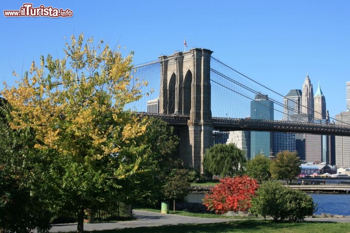Immagine Brooklyn Bridge Park a New York City  - © Christopher Penler / Shutterstock.com