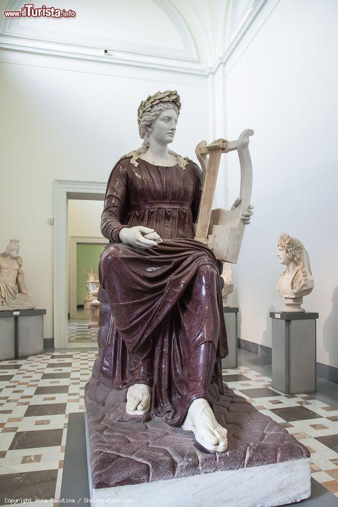 Immagine Statua di Apollo con la lira, collezione del Museo Archeologico Nazionale di Napoli  - © Anna Pakutina / Shutterstock.com