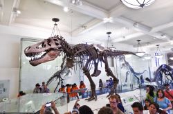 La Mostra dei dinosauri (Dinosaur exihibit), ...