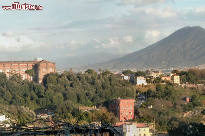 Immagine Panorama di Napoli: a sinistra la Reggia di Capodimonte con giardino ed il Vesuvio sullo sfondo a destra - © Danilo Ascione / Shutterstock.com