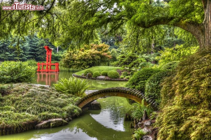 Immagine Bucolico giardino in stile giapponese, Brooklyn Botanic Garden: tra i ponticelli, la cascata e l'isola nel mezzo del laghetto ci si può rilassare dopo una giornata spesa tra le affollate strade di New York - Foto © R.A.R. de Bruijn Holding BV  / Shutterstock.com