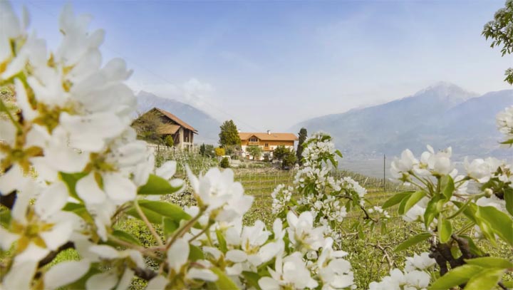 Farm Food Festival Merano