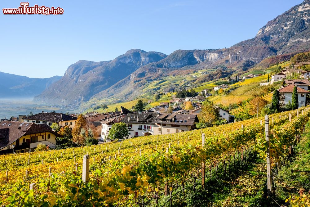 La Strada del Vino dell'Alto Adige