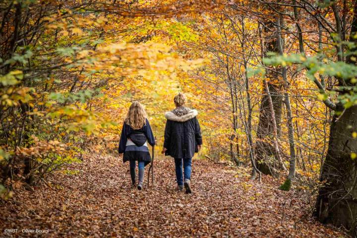 Foto di Olivier Bourgi.