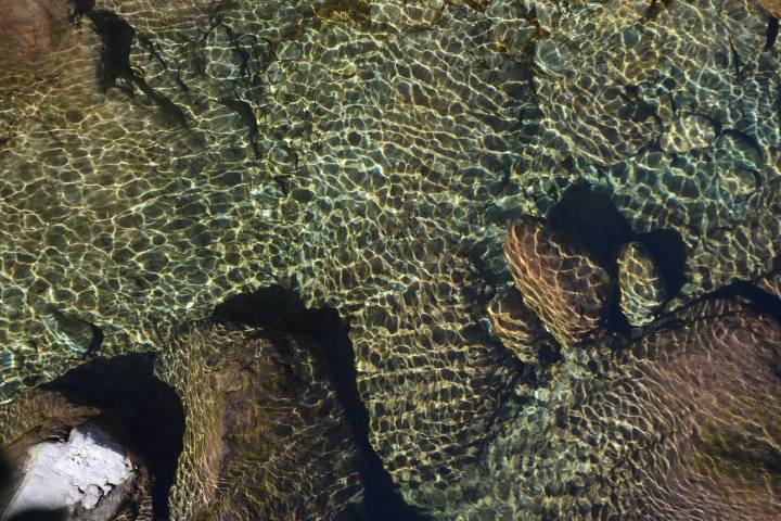 Le acque cristalline dell'Elvo