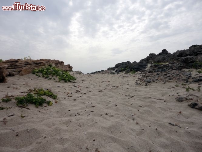 Immagine Sabbia e scogliere a Favignana, Sicilia. Il paesaggio di questa bella isola delle Egadi alterna tratti sabbiosi a zone di scogli