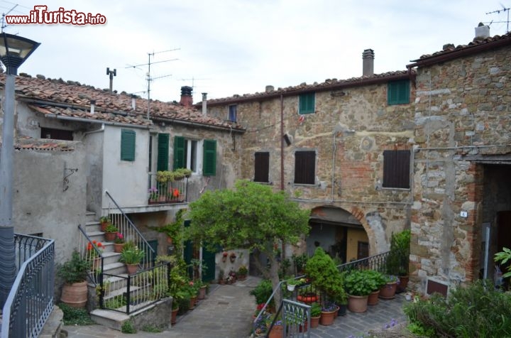 Immagine Scorci da Scansano, Toscana.