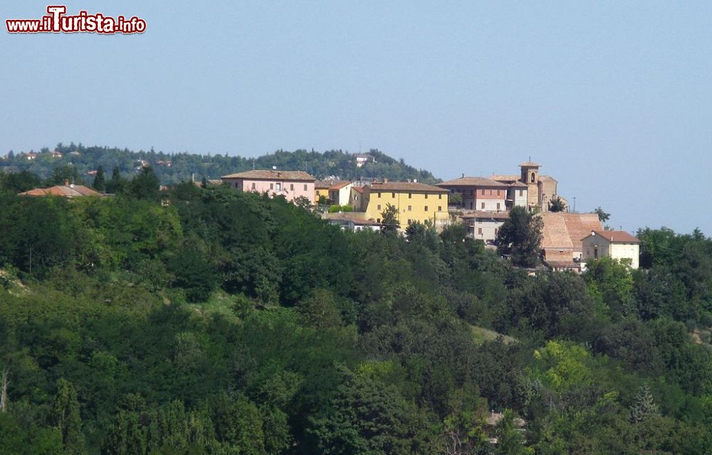 Le foto di cosa vedere e visitare a Petriano