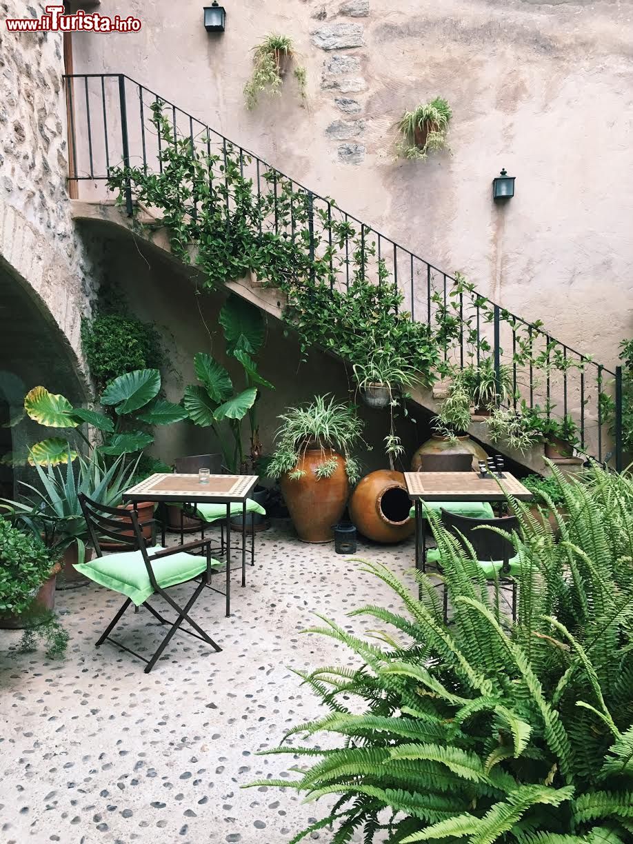 Immagine Un particolare del giardino dell'Hotel Nord Estellencs a Maiorca, isole Baleari, Spagna.