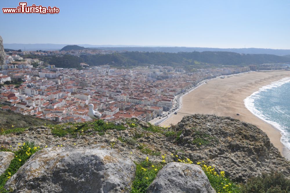 Immagine Il panorama di Nazaré fotografato dalla scogliera che domina la città portoghese.