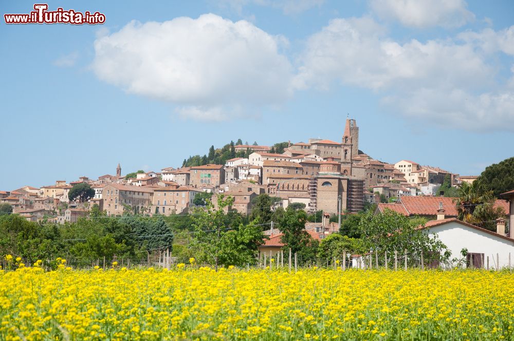 Le foto di cosa vedere e visitare a Castelfiorentino