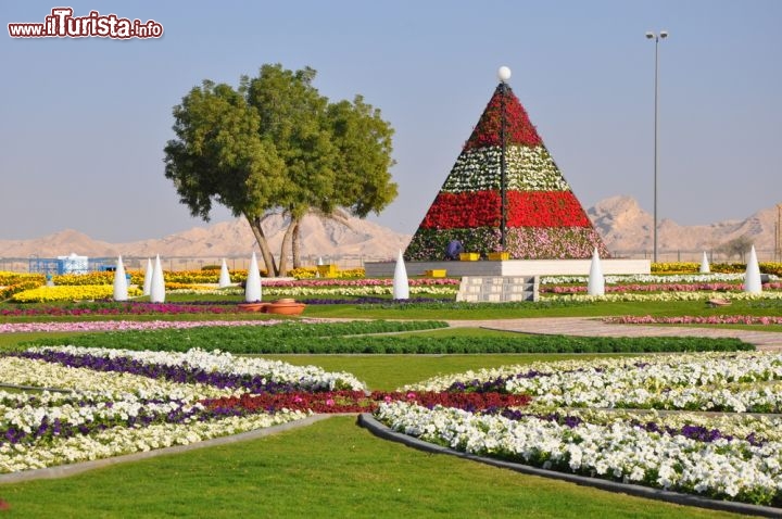 Immagine L'oasi di Al Ain, nei pressi di Abu Dhabi, è un tripudio di fiori, sentieri curati e coltivazioni di palme. La riserva si estende per circa 1200 ettari e ospita quasi 150 mila palme da dattero di varietà diverse -  © Ritu Manoj Jethani / Shutterstock.com