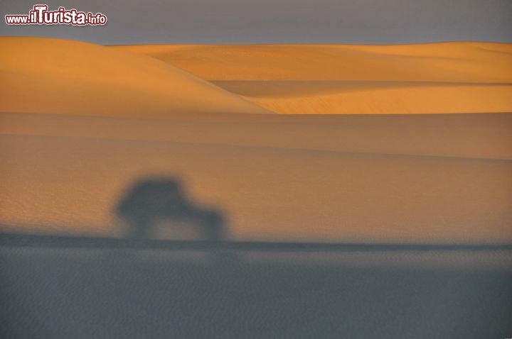 Immagine Abu Muharrik, il lungo cordone di dune longitudinali in Egitto: la Land Cruise Toyota di Maurizio Levi al tramonto - In collaborazione con I Viaggi di Maurizio Levi