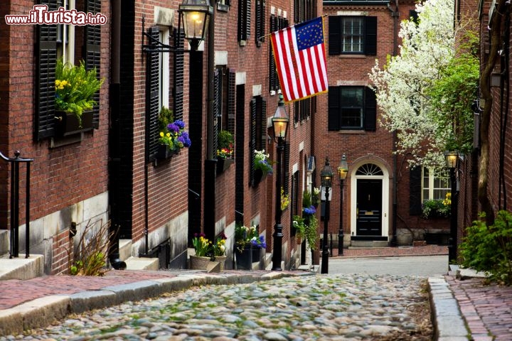 Immagine Acorn Street, conosciuta come "la strada più fotografata di Boston", è una stradina lastricata incorniciata dalle vecchie case dei cocchieri che lavoravano per le famiglie di Mt. Vernon e Chestnut Street - © Marcio Jose Bastos Silva / Shutterstock.com