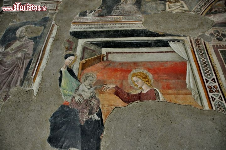 Immagine Affreschi chiesa di San Domenico ad Arezzo