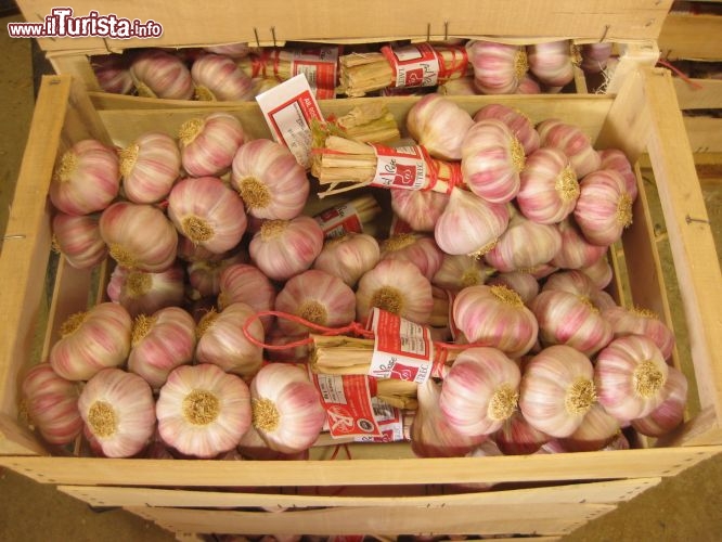 Immagine Aglio rosa, il prodotto tipico di Lautrec