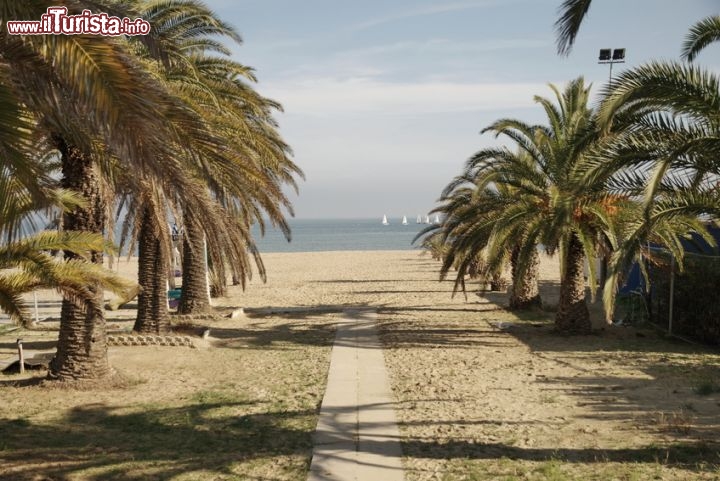 Immagine Sulla sabbia di San Benedetto del Tronto verso il mare (Marche).