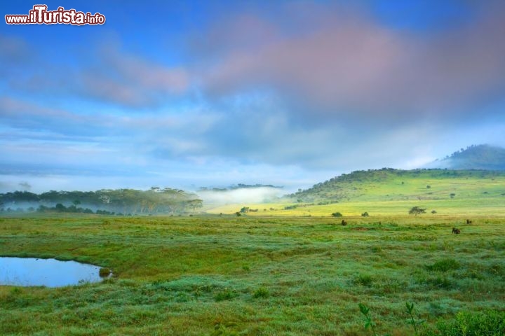 Immagine Alba sul Lago Nakuru in Kenya, lungo la celebre Rift Valley - © Anna Omelchenko / Shutterstock.com