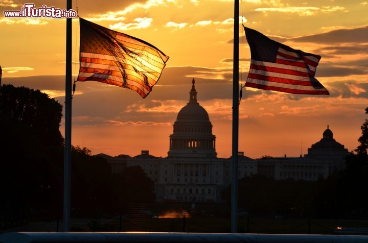 Immagine Alba a Washington DC: le bandiere ameircane incorniciano il Campidoglio avvolto nella luce dorata della mattina - © Orhan Cam / Shutterstock.com