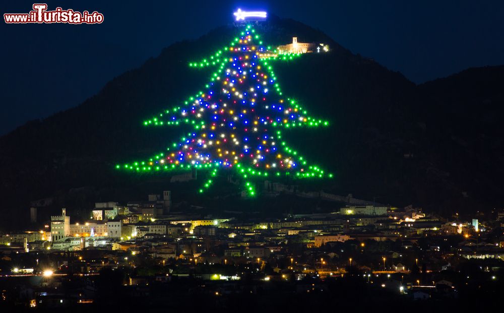 Immagine Albero di Natale a Gubbio: una lunghissima serie di luci si inerpica sul monte Ingino ed è considerato l'albero di Natale più grande del mondo. Possiede un altezza di 650 mcon le lucidisposte a regola d’arte del monte Ingino che disegnano la classica forma dell’abete.