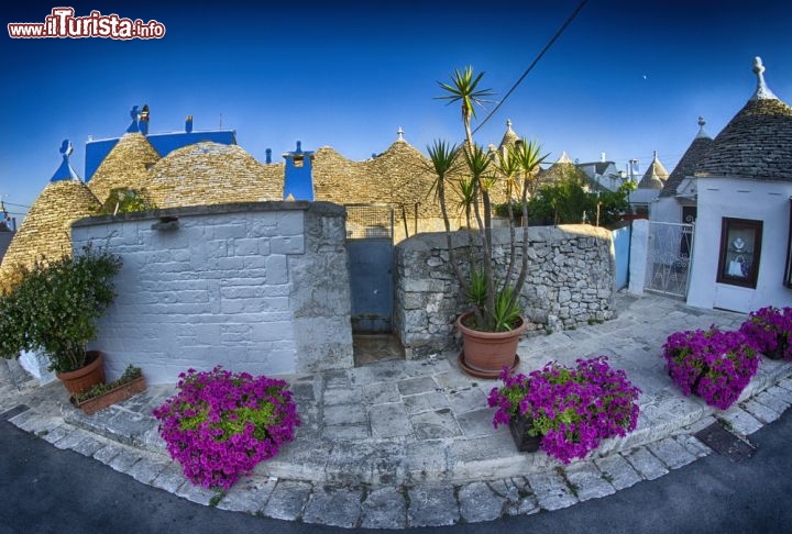 Immagine Alberobello trulli fotografati all albaPuglia  - © pisaphotography / Shutterstock.com