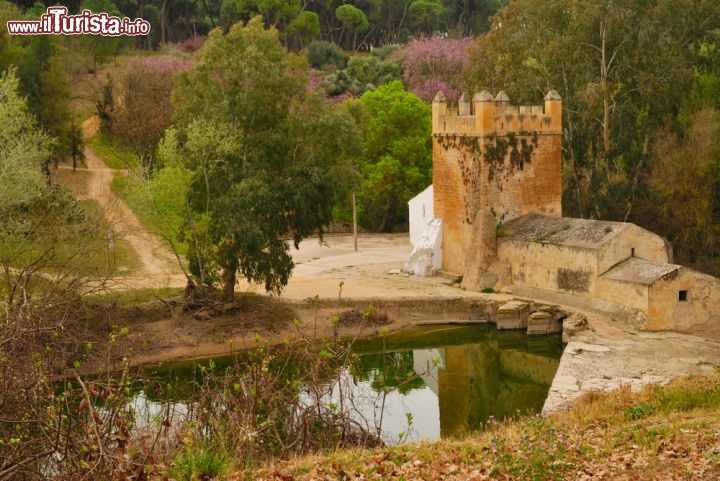 Immagine Alcala de Guadaira: il suo territorio è ricco di mulini storici - © monysasu / Shutterstock.com