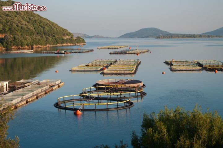 Immagine Allevamenti di pesci nel mare di Igoumenitsa, in Epiro (Grecia) - © ollirg / Shutterstock.com