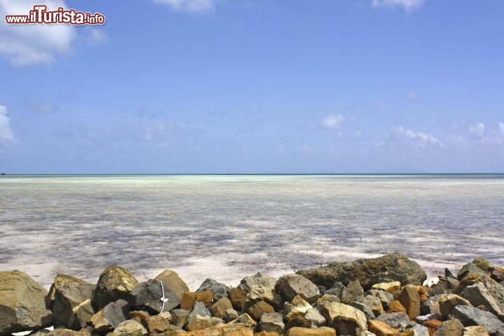 Immagine Anegada, British Virgin Islands – Vista dalla strada principale di Anegada, l’isola più settentrionale di tutte le Isole Vergini Britanniche. La sua caratteristica è l’essere completamente piatta, si estende per circa 18km di lunghezza e soli 3 km di larghezza. - © Guendalina Buzzanca / thegtraveller.com