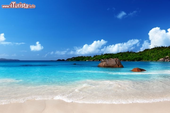 Immagine Anse Lazio a Praslin: snorkeling nel mare turchese delle isole Seychelles - © Iakov Kalinin / Shutterstock.com