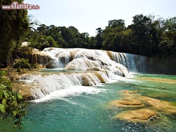 Immagine L'altezza delle cascate Agua Azul (nei pressi di Palenque, Messico) non è sensazionale, ma il paesaggio circostante e il colore azzurro dell'acqua, soprattutto nelle giornate di sole, le rendono mozzafiato - © Serafino Mozzo / Shutterstock.com