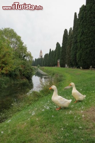 Immagine Aquileia Passeggiata lungo il porto fluviale