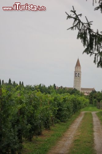 Immagine Aquileia Vista della Basilica dalle campagne