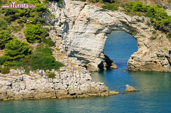Immagine Architello, una spettacolare erosione lungo la costa rocciosa che si apre vicino a Vieste, sul promontorio del Gargano in Puglia - © LianeM / Shutterstock.com