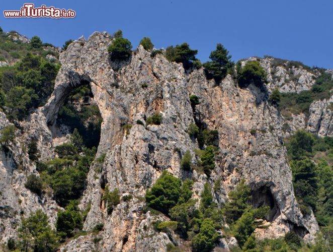 Immagine Arco Naturale di Capri: a molti ricorda il profilo di un elefante