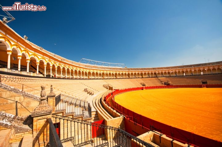 Immagine La Plaza de Toros di SIviglia, o Arena de la Real Maestranza, è uno dei luoghi più prestigiosi della tauromachia spagnola nonché, dopo l'arena di Ronda, la più antica del mondo nel suo genere. Ha una capienza di 12.500 spettatori e ogni anno ospita le corride dal periodo di Pasqua al mese di ottobre. Comprende un museo della storia taurina sivigliana - © Botond Horvath / Shutterstock.com