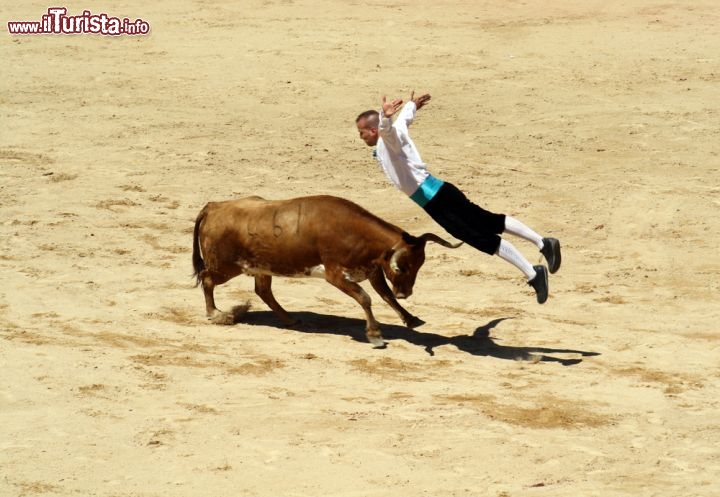 Immagine Nella Arena di Pamplona (Navarra, Spagna) le corride si svolgono sin dalla fine del Trecento, e furono istituzionalizzate alla fine del Cinquecento. Ancora oggi sono uno degli eventi salienti de Los Sanfermines, le celebrazioni di luglio in onore del patrono navarrese: nel periodo della festa, dal 7 al 14 luglio, ogni pomeriggio alle 18.30 i toreri domano questi animali possenti, incitati dall'atmosfera festosa sugli spalti. L'arena odierna risale al 1922 - © Revelados.Info / Shutterstock.com