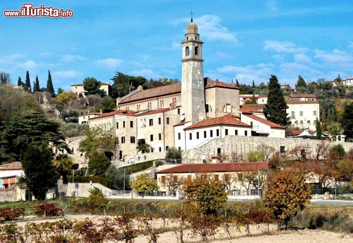 Le foto di cosa vedere e visitare a Arqu Petrarca