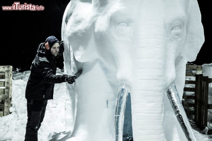 Immagine Artista a Zwolle, durante il festival delle sculture di ghiaccio in Olanda - © www.ijsbeelden.nl
