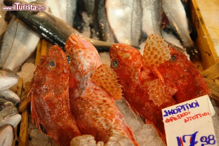 Immagine Il mercato del pesce di Atene