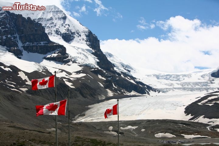 Immagine Il ghiacciaio Athabasca, all'interno del Jasper National Park (Alberta, Canada), è tra i più visitati delle Montagne Rocciose Canadesi. Nel parco se ne trovano di più belli e imponenti, ma questo è il più accessibile dall'autostrada e merita certamente una visita - © Mayskyphoto / Shutterstock.com