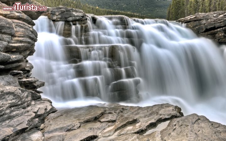 Immagine Le cascate Athabasca all'interno del Jasper National Park di Alberta, Canada. I getti d'acqua, spettacolari anche se non molto alti, modellano le rocce del parco e impressionano col loro fragore. Intorno alle cascate si snoda un camminamento asfaltato che vi permetterà di ammirarle da varie angolazioni  - © Pictureguy / Shutterstock.com