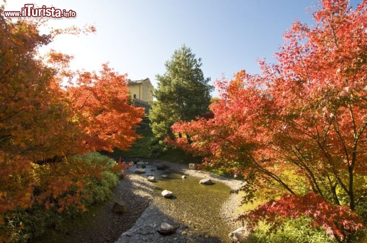 Immagine Autunno ai Giadini di Sissi Merano a Merano - cortesia foto www.trauttmansdorff.it