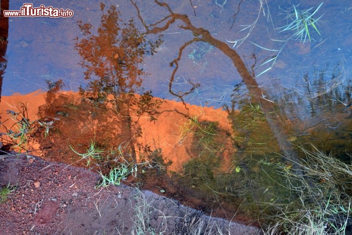 Immagine Ayers Rock riflessa in una pozzanghera, dopo una pioggia - L'acqua a Uluru è forse uno degli aspetti più importanti che hanno reso così sacra,per gli aborigeni, questa montagna